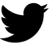 X (formerly Twitter) X (formerly Twitter)