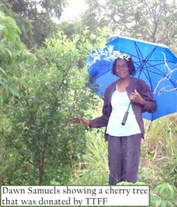 Lise Bouffard photo of Dawn Samuels showing a cherry tree