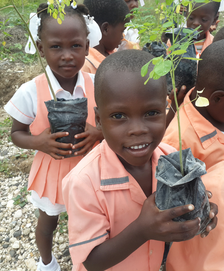 1,000 More Trees to Haiti