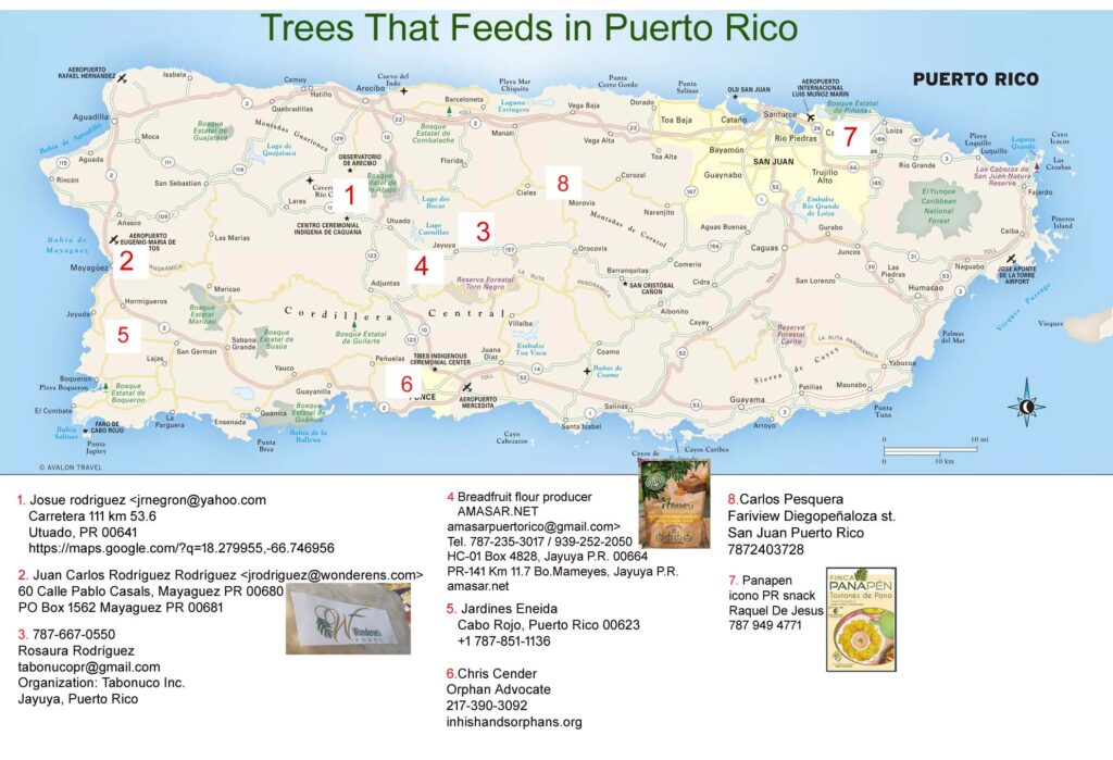 Trees That Feed in Puerto Rico