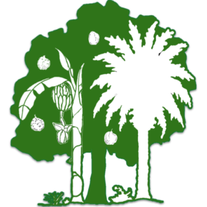 Logo for TTTFF