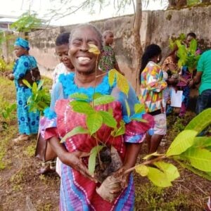 A Nigerian woman taking home a fruit tree