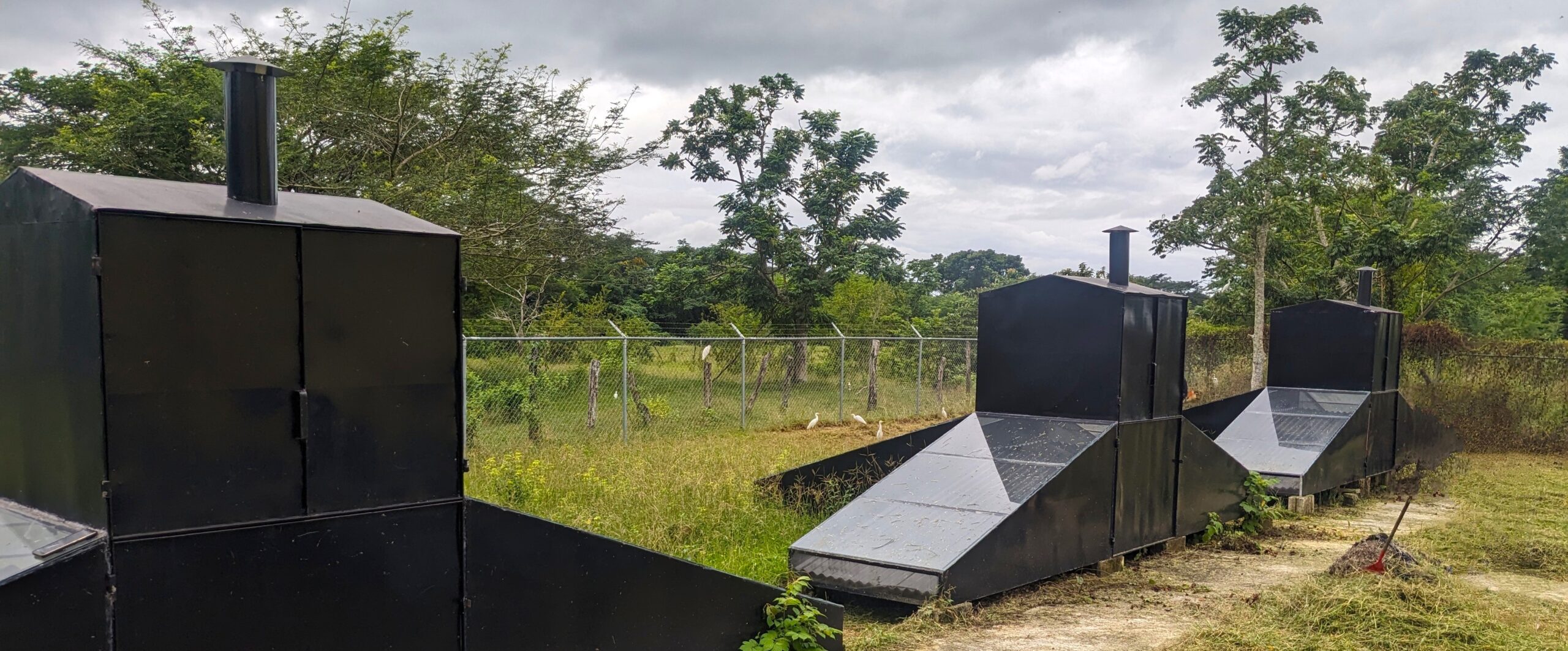 Planting Fruit Trees To Change Lives Trees That Feed Foundation