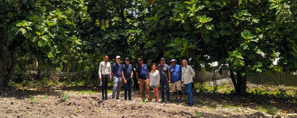 United Nations and other leaders from Haiti, Belize, and Uganda visited Jamaica to learn the breadfruit business in 2024.