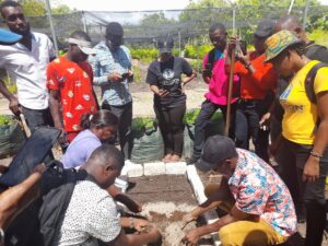 TTFF provides education about trees