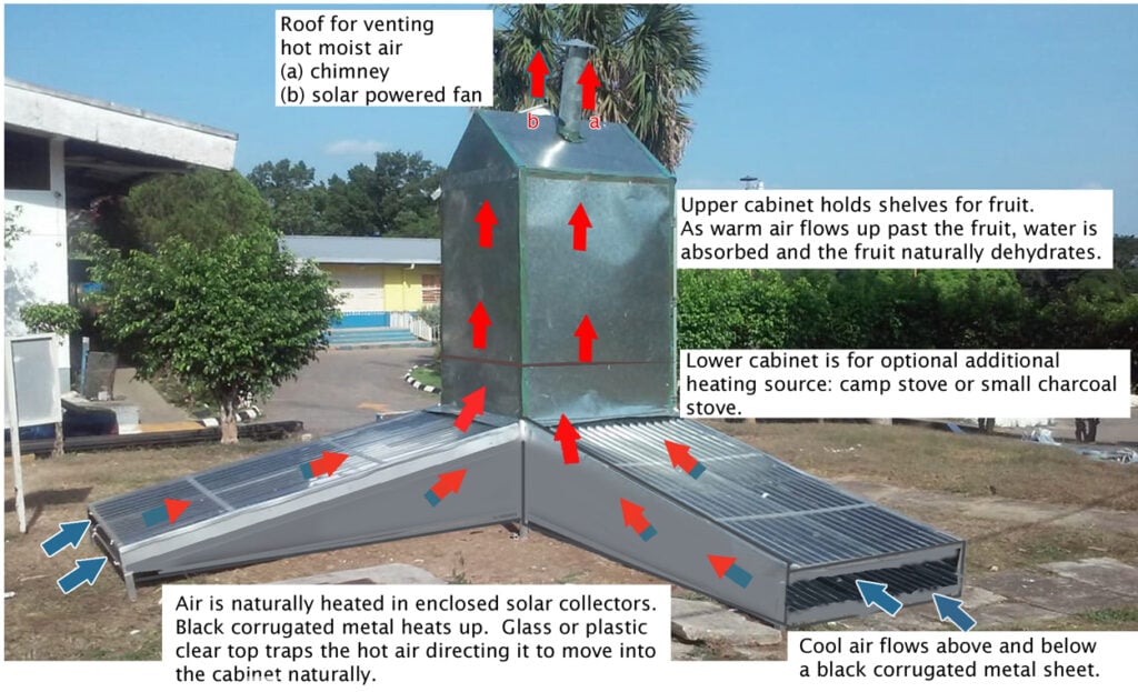 Trees That Feed Hybrid Solar Dehydrator