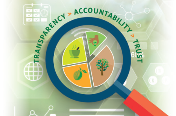 2024-25 Annual Report: A Transparent Account of Our Mission in Action