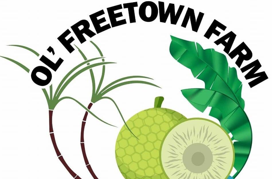 From Devastation to Renewal: George Johnson’s Ol’ Freetown Farm