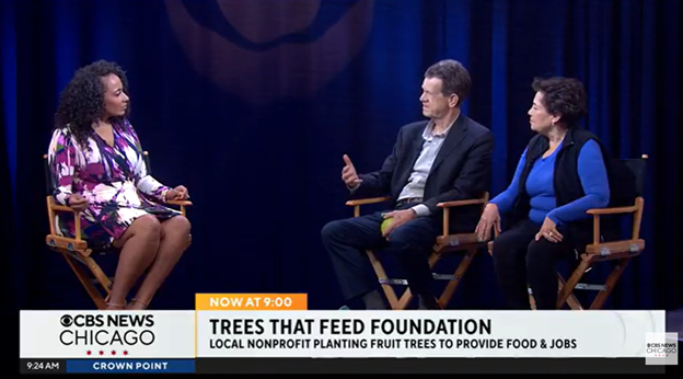 TTFF in the News: Jamaica Recovery and Global Impact