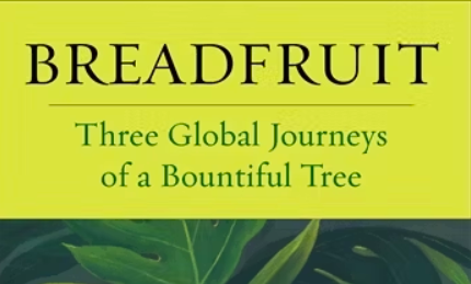 Breadfruit Event January 14 with Dr. Russell Fielding in Winnetka, IL