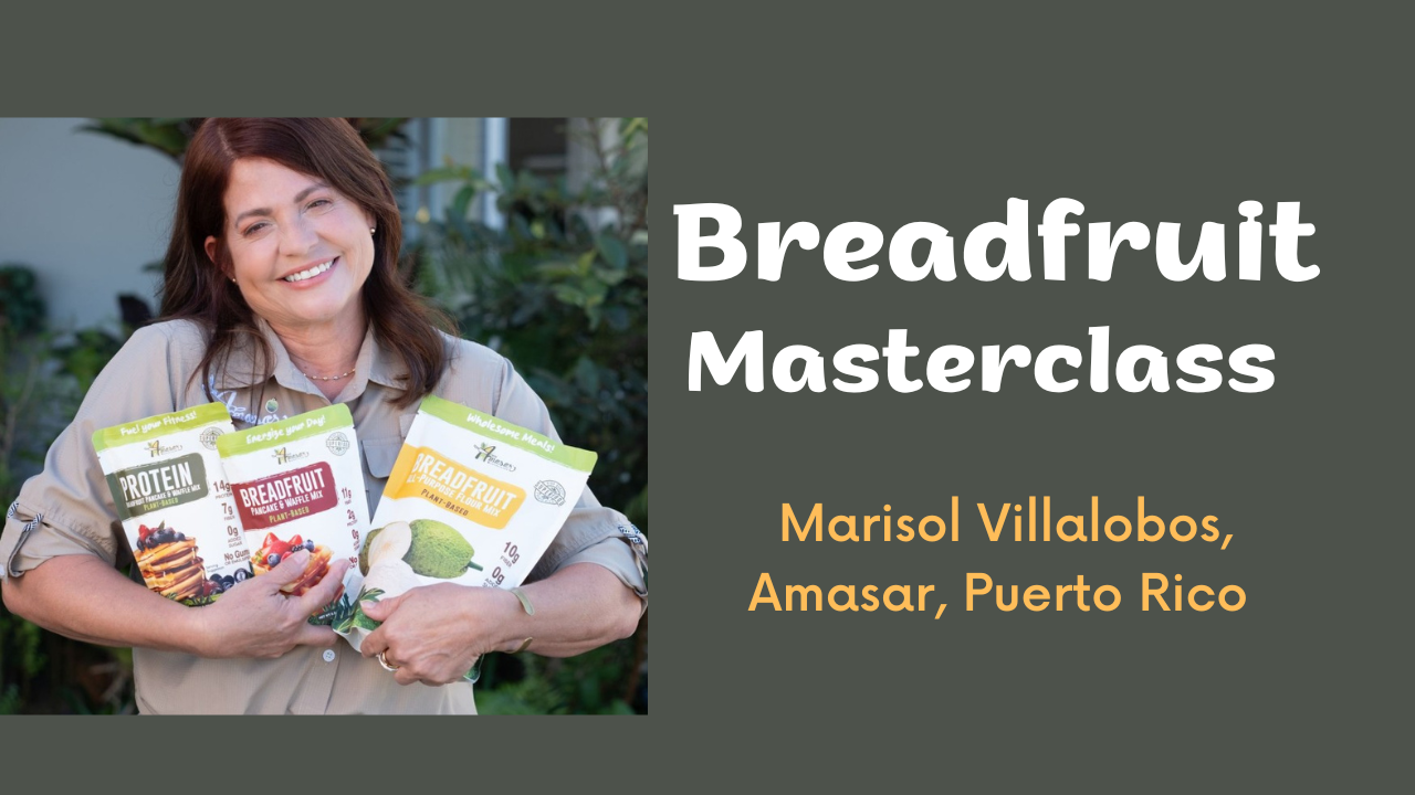 Growing Knowledge to Grow Impact: Breadfruit Masterclasses