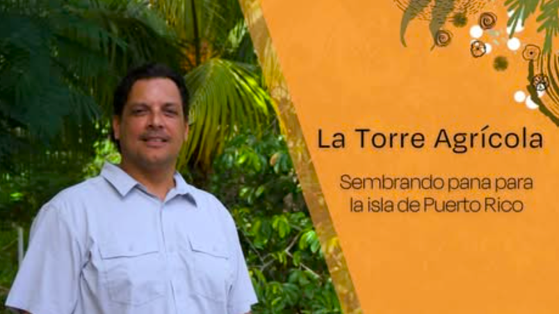 Leo Torres: Shaping the Future of Breadfruit in Puerto Rico