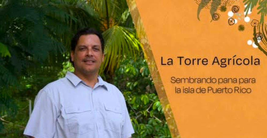 Leo Torres: Shaping the Future of Breadfruit in Puerto Rico