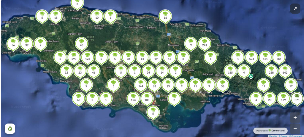Fruit trees planted in Jamaica. Map by Greenstand Treetracker.